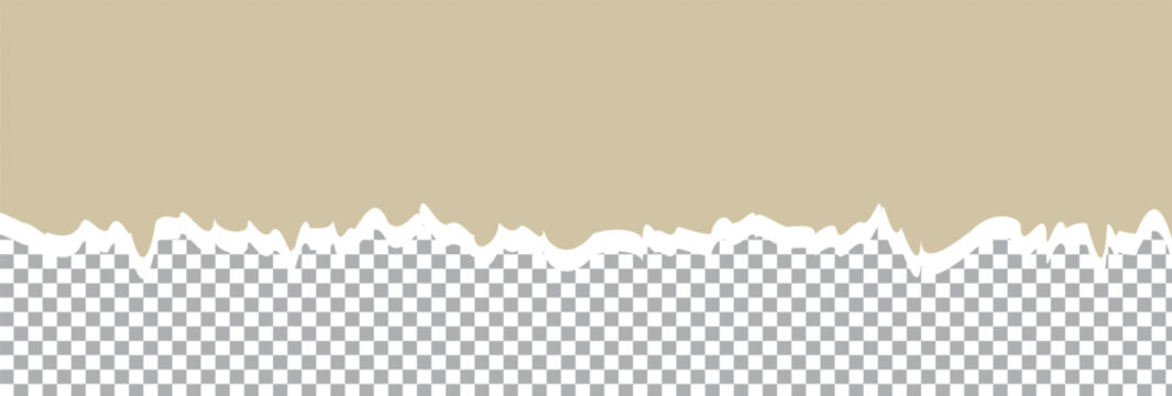 torn paper on transparent background. Piece of rip paper PNG. mockup template