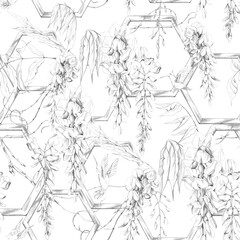 Obraz premium Seamless pattern of wisteria blossoms, foliage leaves, fresh spring buds and shoots on geometric wooden trellises, hummingbirds in flight. Pencil hand drawn illustration. Patio furniture catalogs