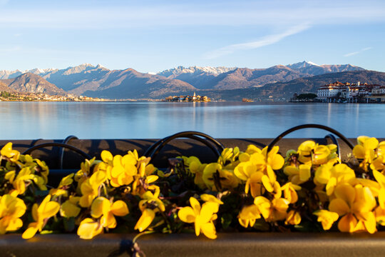 Morning View of Isola dei Pescatori from Stresa, Lake Maggiore