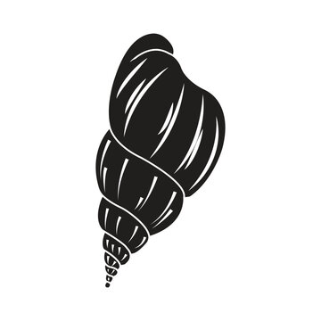 Minimalist line vector illustration of a spiral sea snail shell.