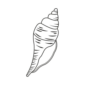 Minimalist line vector illustration of a spiral sea snail shell.