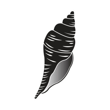 Minimalist line vector illustration of a spiral sea snail shell.