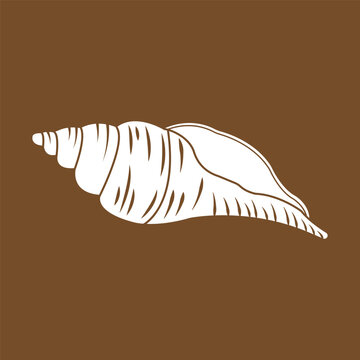 Minimalist line vector illustration of a spiral sea snail shell.