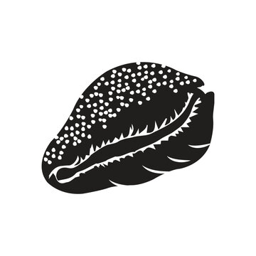 Minimalist Seashell Silhouette Vector Illustration