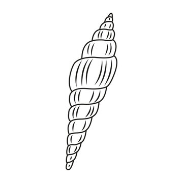 Minimalist line vector illustration of a spiral sea snail shell.
