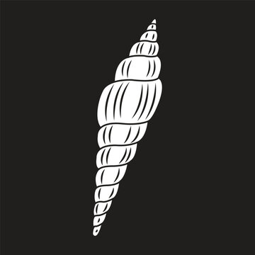 Minimalist line vector illustration of a spiral sea snail shell.