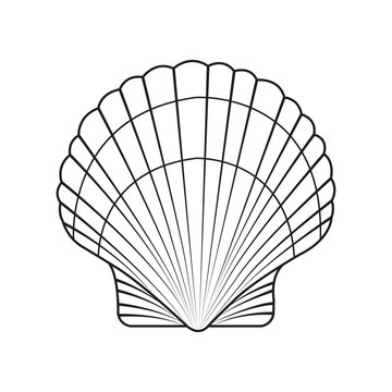 Minimalist Seashell Silhouette Vector Illustration
