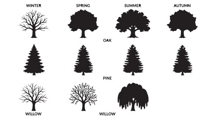 Black tree silhouettes set, oak pine and willow tree icons across four seasons, seasonal nature vector collection for landscape design and mapping © Shahzaib