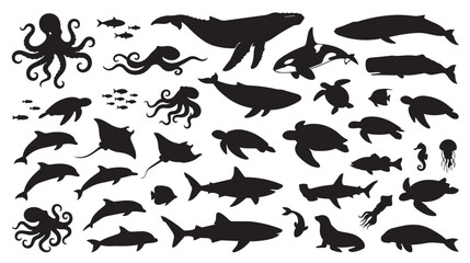 Marine life silhouette collection, sea animal vector set with whales and sharks, aquatic wildlife icons for ocean conservation and educational design © Shahzaib