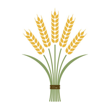 Flat vector illustration of a wheat bundle