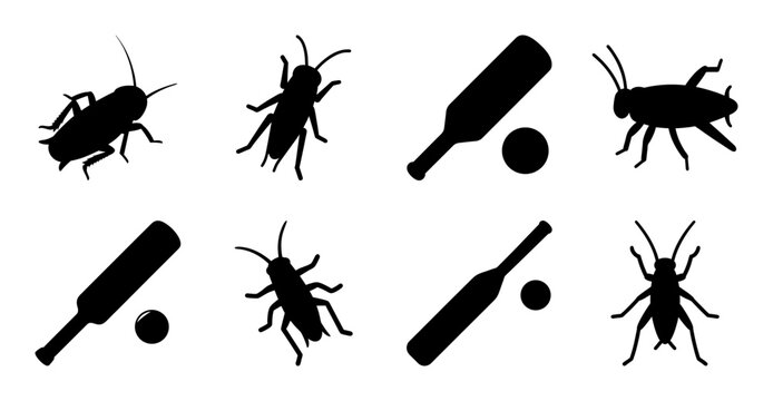 Black cricket and baseball bat icons set - Minimalist black icon set featuring crickets and baseball bats in a clean, flat design style. Perfect for sports, nature, or insect-themed projects.