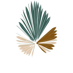 Fototapeta premium Radial tropical palm leaf fan vector illustration