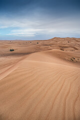 Dubaj - Zjednoczone Emiraty Arabskie © Radosław Dybała