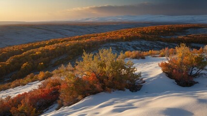 Obraz premium Scenic autumn landscape showcasing vibrant foliage on rolling hills under a golden sunset