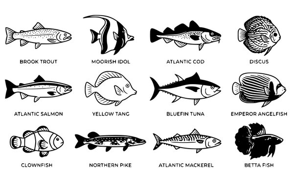 Fish Outline and Silhouette Icon Set with Species Names Featuring Tuna, Salmon, Trout, and Tropical Aquarium Species for Commercial Vector Graphic Designs
