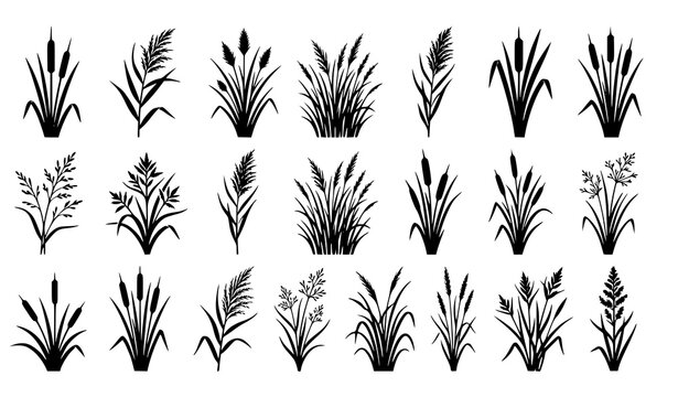 ​Reed and Cattail Silhouette Vector Icon Set Featuring Various Marsh Grasses, Bulrushes, Sedges, and Swamp Vegetation Tufts for Nature, Pond, and Wetland Graphic Designs