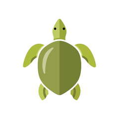 Green turtle from the back. © Hidayat