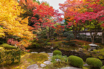 Obraz premium 日本の風景・秋 京都 紅葉の泉涌寺 御座所庭園