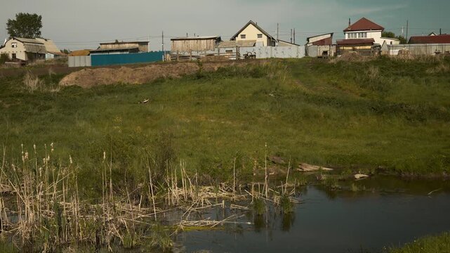 A swampy area with dry cattails and reeds, and in the distance a village with houses.