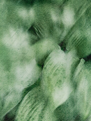Fototapeta premium Abstract blurred forest watercolor backgrounds with granulating texture, moody deep green and moss tones. Perfect for invitation, social media, greeting cards.