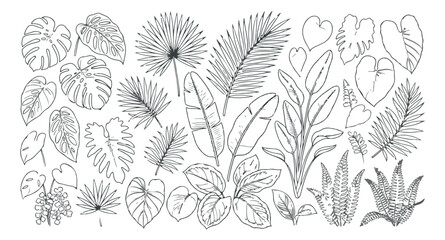 Fototapeta premium Tropical floral arch vector illustration, black and white jungle leaf frame, exotic botanical wedding gateway with monstera and palm foliage