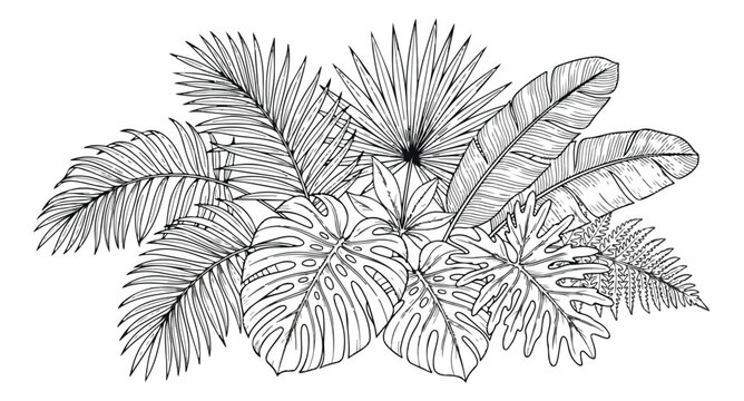 Tropical floral arch vector illustration, black and white jungle leaf frame, exotic botanical wedding gateway with monstera and palm foliage
