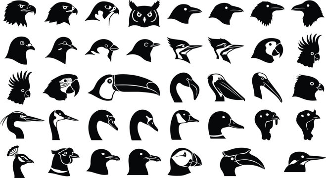 Black silhouette icons of bird heads featuring diverse species including raptors parrots and waterfowl