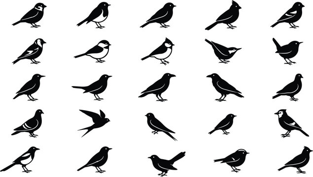 Set of small bird silhouettes in grid format featuring diverse songbirds black icons isolated white