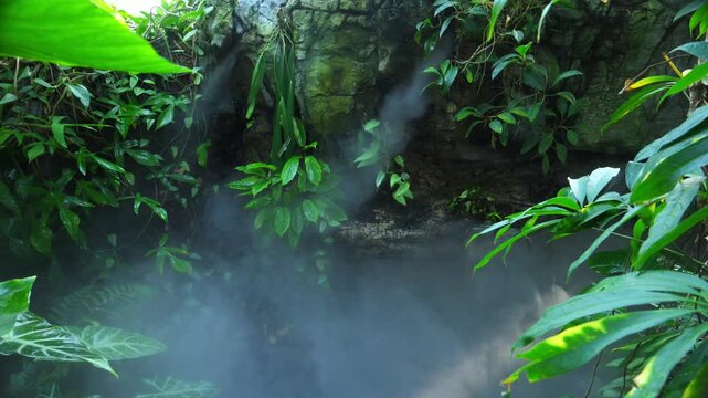 Lush tropical rainforest landscape characterized by dense green vegetation, moss covered rocks, and thick mist