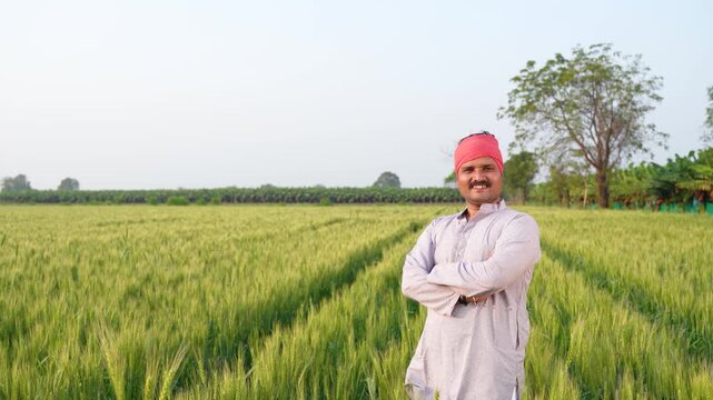 young indian farmer standing at green wheat field