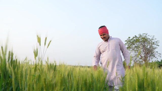 young indian farmer standing at green wheat field