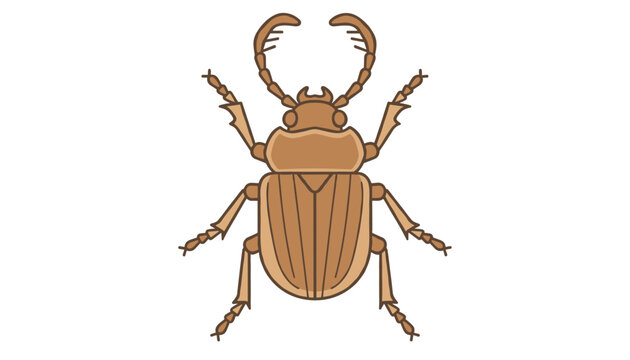 Artistic representation of a brown beetle featuring textured shell and delicate legs illustrated in a modern minimalist flat graphic style.