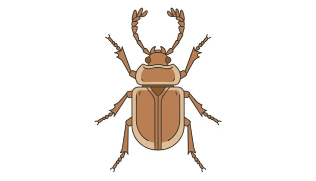 Detailed illustration of a brown beetle with distinct segmented legs and antennae depicted in a clean flat graphic art style on white.