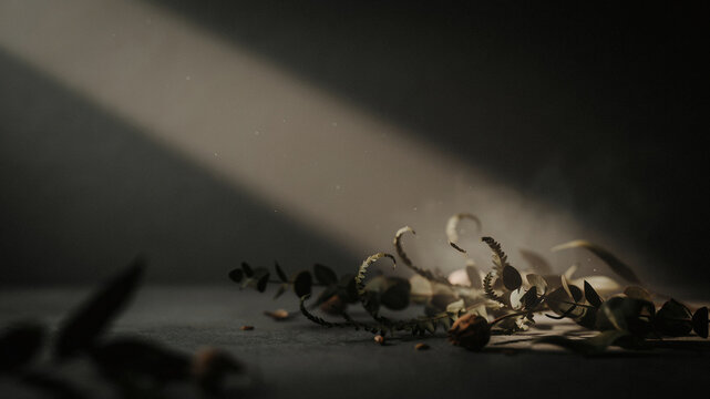 Dead Insects Close Up on Dark Surface with Dramatic Side Lighting and Shadows