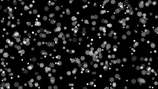 Stylized White Snowflakes Falling Against Black Background Seamless Loop Animation