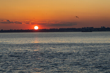 Fototapeta premium Bosphorus strait dramatic sunset view with big sun disk lowering behind the historic old city skyline. Orange sky over water channel with seagull silhouettes, twilight scene, Istanbul, Turkey.