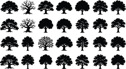 Collection of various black tree silhouettes with detailed branches. © jim's Cafe