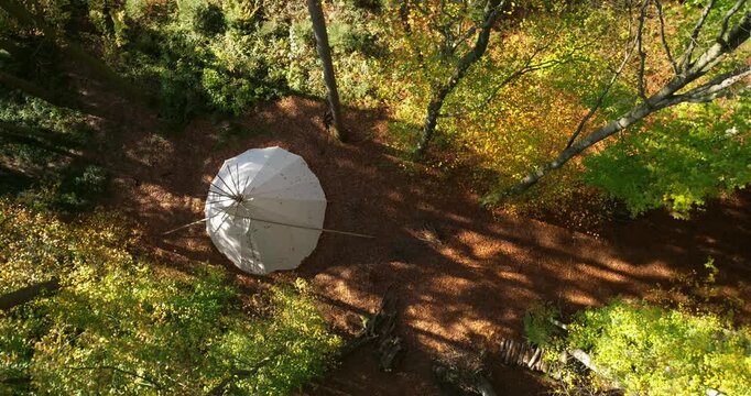Wei&szlig;es Tipi-Zelt in einem herbstlichen Wald, umgeben von B&auml;umen, Laub und warmer Naturstimmung, als ruhige Outdoor-Szene f&uuml;r Camping, R&uuml;ckzug und Erholung