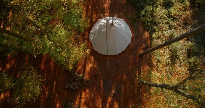 Wei&szlig;es Tipi-Zelt in einem herbstlichen Wald, umgeben von B&auml;umen, Laub und warmer Naturstimmung, als ruhige Outdoor-Szene f&uuml;r Camping, R&uuml;ckzug und Erholung