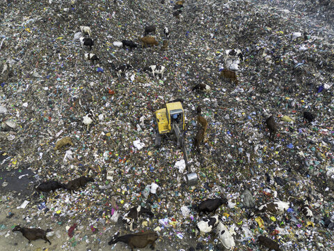 Cox's Bazar, Bangladesh - 11 March 2026: Aerial view of cows scavenging among piles of plastic waste at a landfill site, with an excavator working in the center and people nearby.