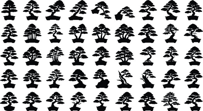 Black silhouettes of bonsai trees on white background, 11 style tree silhouettes miniature trees