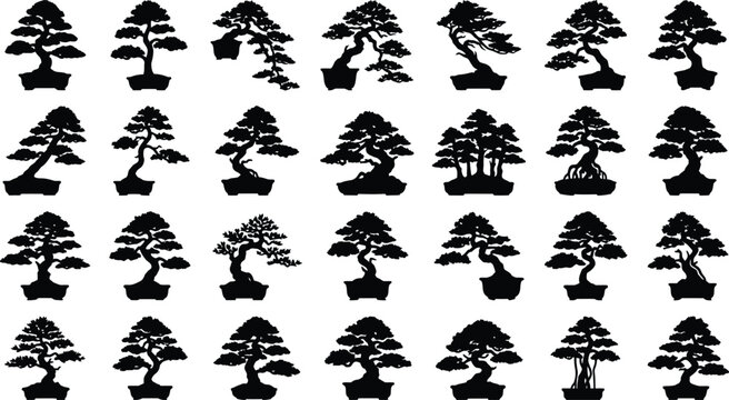 Black silhouettes of bonsai trees on white background, set