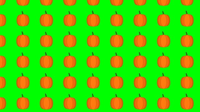 Flat vector Halloween pumpkin pattern seamless loop animation on chroma key green screen background 4K motion graphic