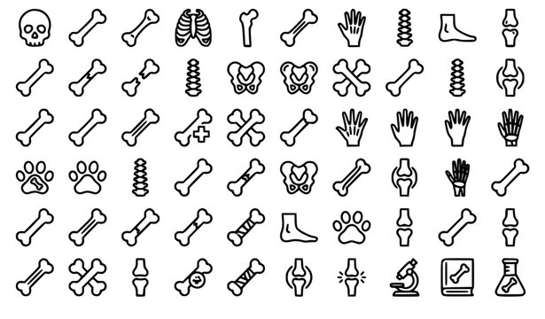 Human bone skeleton and orthopedic thin line icons mega set featuring skull joint fracture ribs spine hand paw prints and laboratory equipment vector illustration