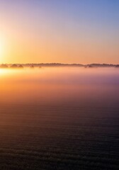 Obraz premium An expansive agricultural field covered completely in dense, swirling fog during the cool, quiet hours of the early morning light, peaceful, cold, landscape