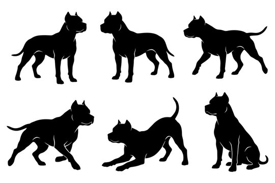 Silhouettes of six pit bull dogs in various poses on white background.