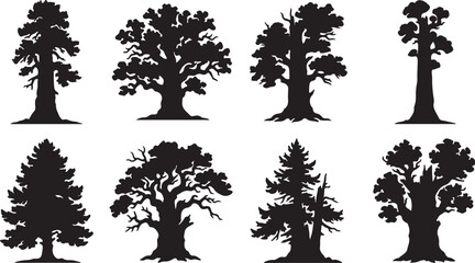 Trees display various foliage and trunk shapes. © MstJahanara
