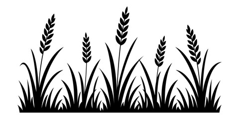 Fototapeta premium Meadow wheat grass black silhouette border with several seed heads and wild field blades, isolated botanical design. Vector illustration