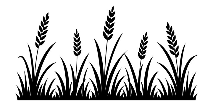 Meadow wheat grass black silhouette border with several seed heads and wild field blades, isolated botanical design. Vector illustration