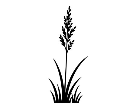 Single wheat grass black silhouette with one tall seed head, isolated minimal agricultural plant icon for harvest design. Vector illustration